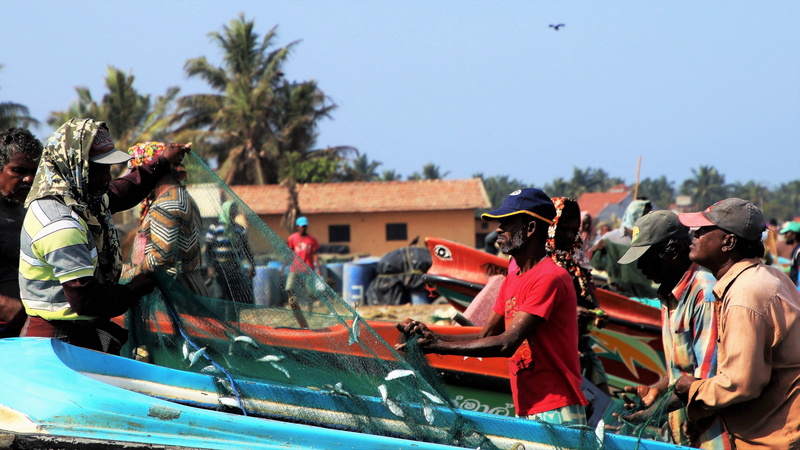 nautical vessel, adult, ocean, standing, large group of people, a fishing village, boat, palm trees, the ship, sea, sand, view, festival, the coast, sri lanka
