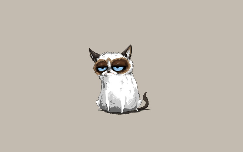 Grumpy Cat, cat, 1080P, minimalism