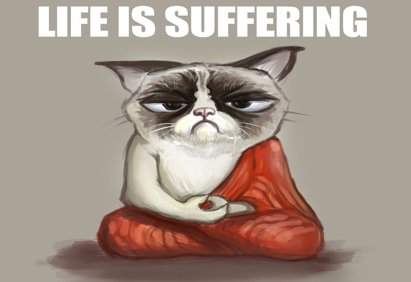 studio shot, funny, domestic, no people, vertebrate, portrait, whisker, close-up, meme, text, feline, indoors, 79, domestic animals, 1080P, sitting, mammal