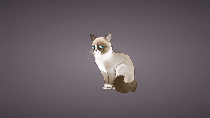 1080P, minimalism, Grumpy Cat, cat