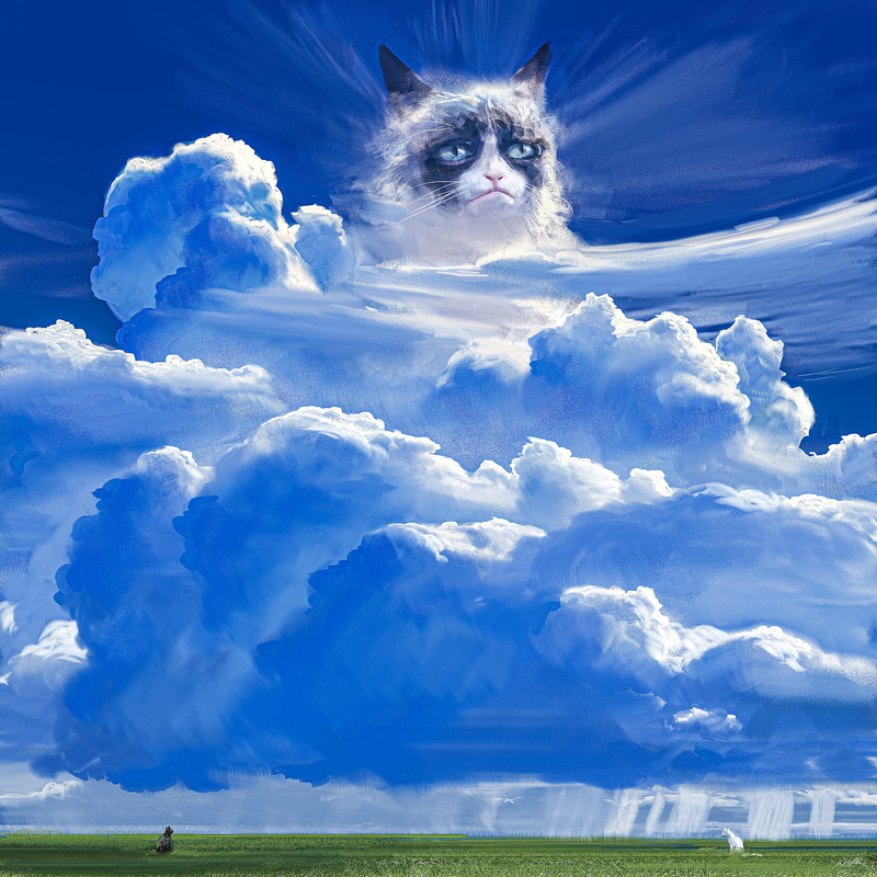 sky, 2K, digital, clouds, Grumpy Cat, cats