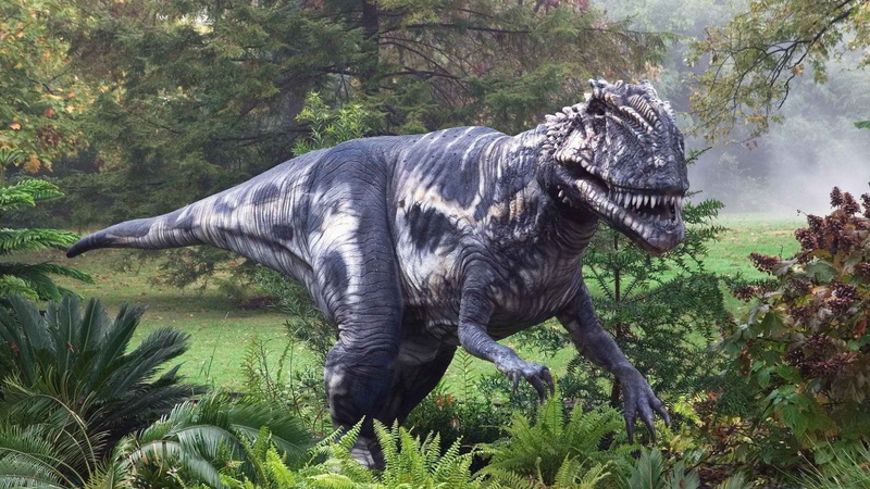 animals in the wild, animal themes, tree, Tyrannosaurus Rex, Animal, Dinosaur, herbivorous, field, 1080P, growth, no people, one animal, domestic animals