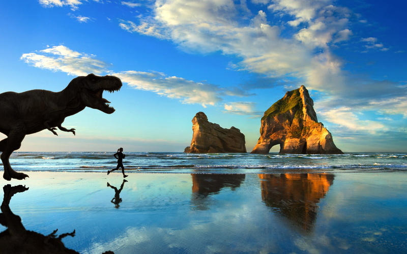 jogging, Dinosaurs, beach, Microsoft Windows, Tyrannosaurus Rex, 1080P