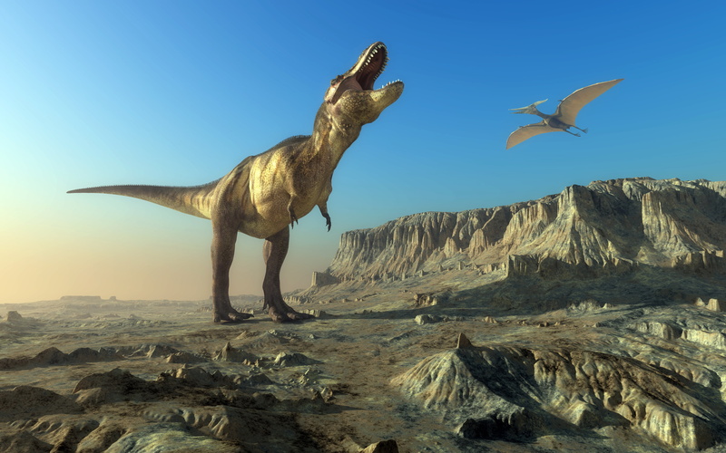 sky, rock, rock - object, bird, pets, ancient, vertebrate, animal wildlife, low angle view, clear sky, animals, one animal, tyrannosaurus, animal, animal themes