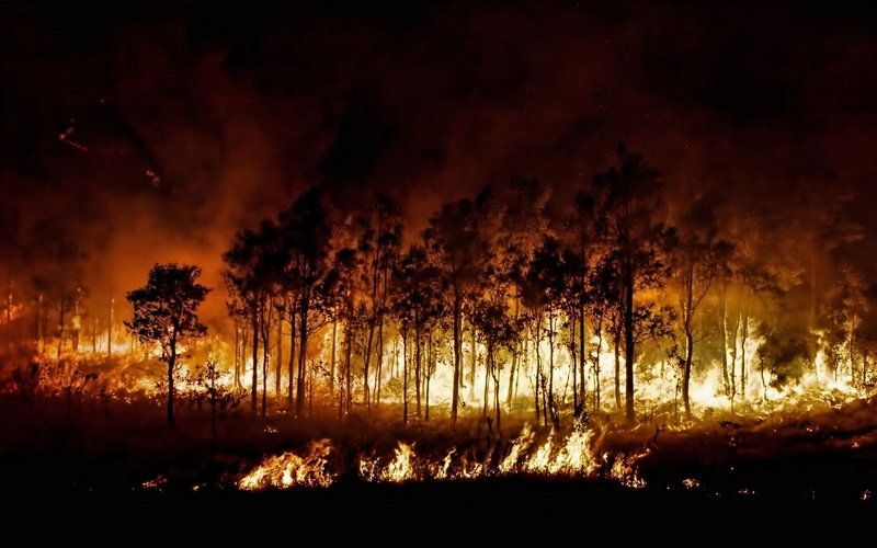 outdoors, tree, nature, environmental damage, fire - natural phenomenon, night, plant, photo nature beauty images 1920x1200, forest, destruction, land