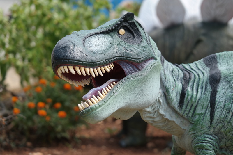 dinopark funtana, dinosaur, animal mouth, animal, aggression, animal representation, focus on foreground, amusement park, close-up, no people, sculpture
