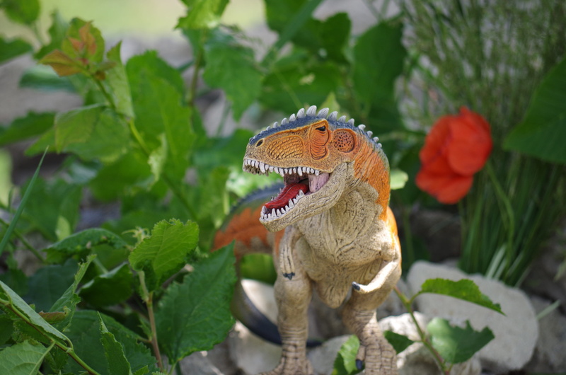 reptile, dinosaur, plant, extinct, nature, one animal, plant part, rex, no people, teeth, pazúre, 4K, animal mouth, carnivore, lizard, mouth, prehistoric times