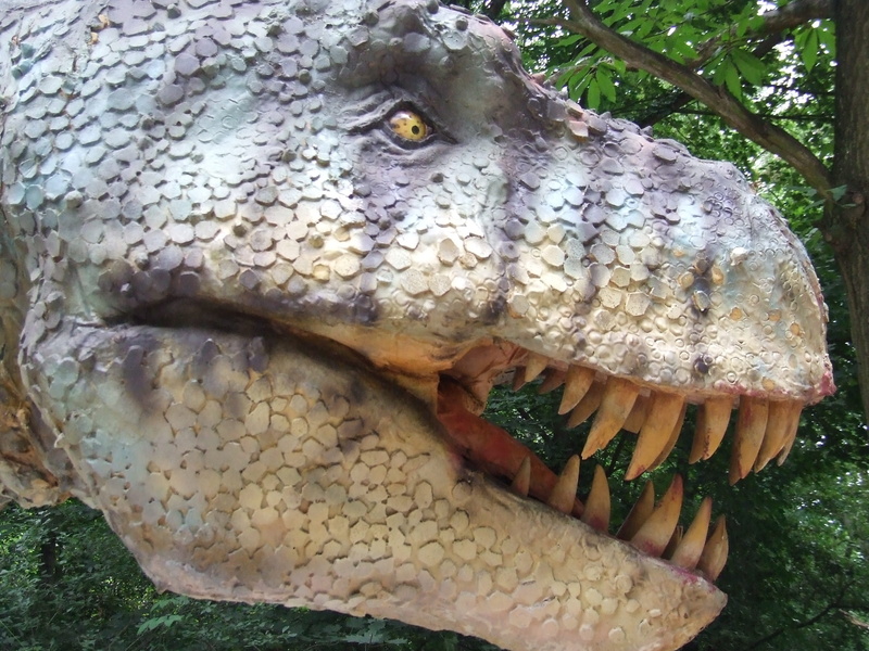 animal scale, reptile, close-up, animal body part, animal mouth, animals in the wild, food, animal teeth, food and drink, nature, vertebrate, prehistoric times