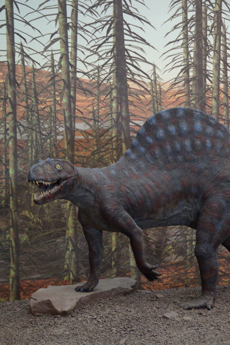 prehistoric times, stuttgart, dino, day, reptile, animal wildlife, domestic animals, tree, one animal, side view, dinosaur, vertebrate, no people, outdoors