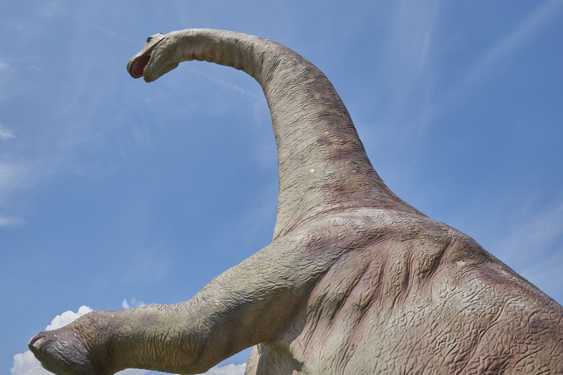 animal themes, beauty in nature, close-up, sunlight, sculpture, herbivorous, dino, dinosaur, animal, evolution, prehistoric times, animal wildlife, no people