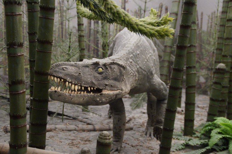 giant lizard, focus on foreground, reptile, palm tree, dinosaur, trunk, vertebrate, hagbard, plant, museum of natural history, evolution, outdoors, no people