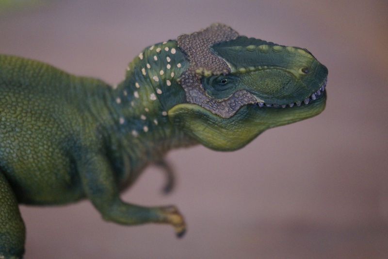 dragon, giant lizard, animal body part, animals in the wild, replica, toys, schleichtier, focus on foreground, dino, reptile, animal skin, carnivores, one animal