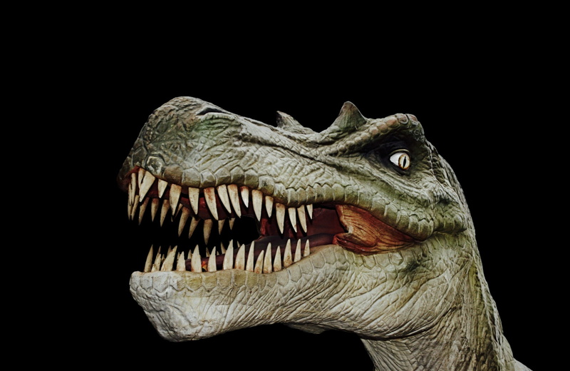 mouth, animal representation, reptile, giant lizard, indoors, dinosaur, studio shot, sculpture, hagbard, mouth open, black background, carnivorous dinosaurs