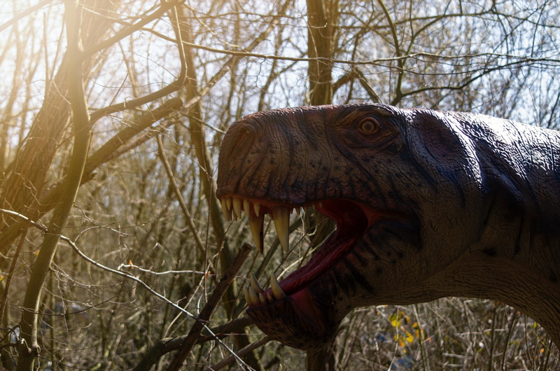 predator, hagbard, no people, carnivores, dino, mouth open, animals in the wild, animal teeth, Dinosaur, focus on foreground, animal head, outdoors, mouth