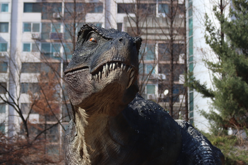 no people, dinosaurs, mouth open, focus on foreground, vertebrate, 5K, animal body part, animal mouth, day, close-up, park, outdoors, mammal, one animal