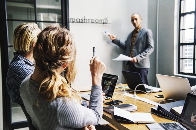 westerner, hairstyle, sitting, business, room, computer, person, meeting, adult, business person, brainstorming, teamwork, cooperation, using laptop, working