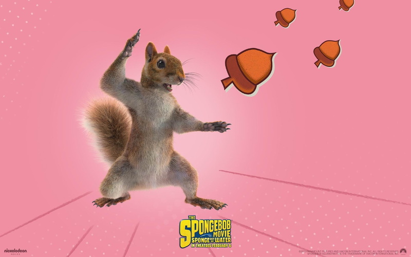 mid-air, digital composite, colored background, squirrel, pink background, no people, 1080P, indoors, sandy, mammal, movie, one animal, pink color, text