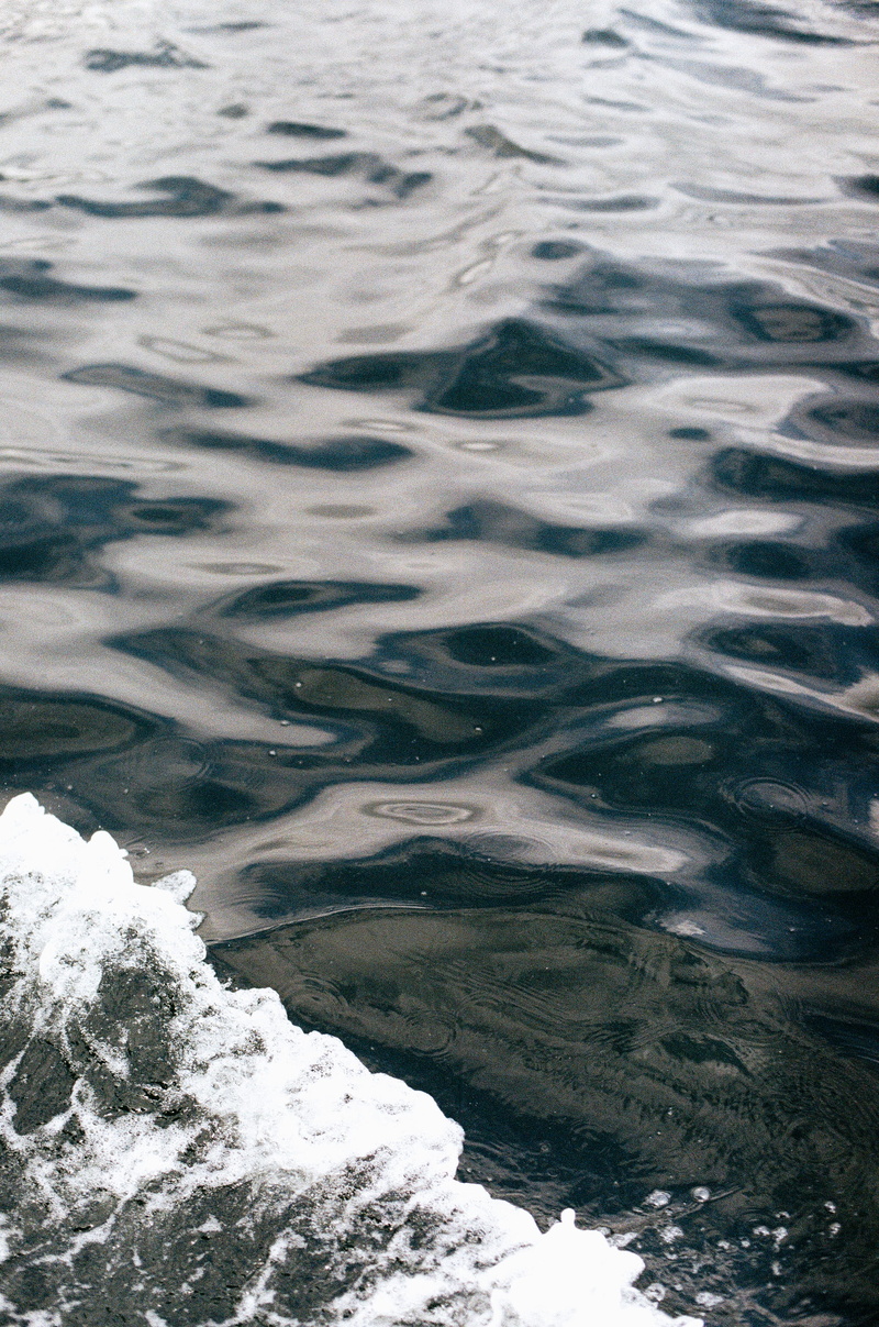 day, waterfowl, ocean, negative, glacier, snow, ripple, film, no people, motion, peace, rug, mountain, rock, iceberg, ripples, water, waterfront