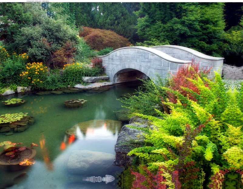 pond, wishing, plants, park, trees, 3d and abstract, 1080P, ontario, walking bridge, niagra falls, bridge