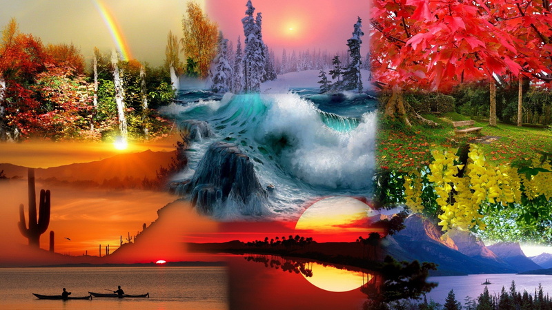 leaves, Flowers, collage, hd, autumn, desert, rainbow, 1080P, art, nature, fall