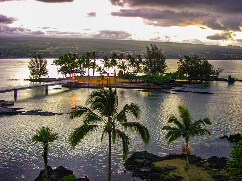 palm, palm tree, tranquil scene, scenics - nature, reflection, hilo, trees, hawaii, built structure, sea, cloud - sky, water, coconut, sky, outdoors, tree