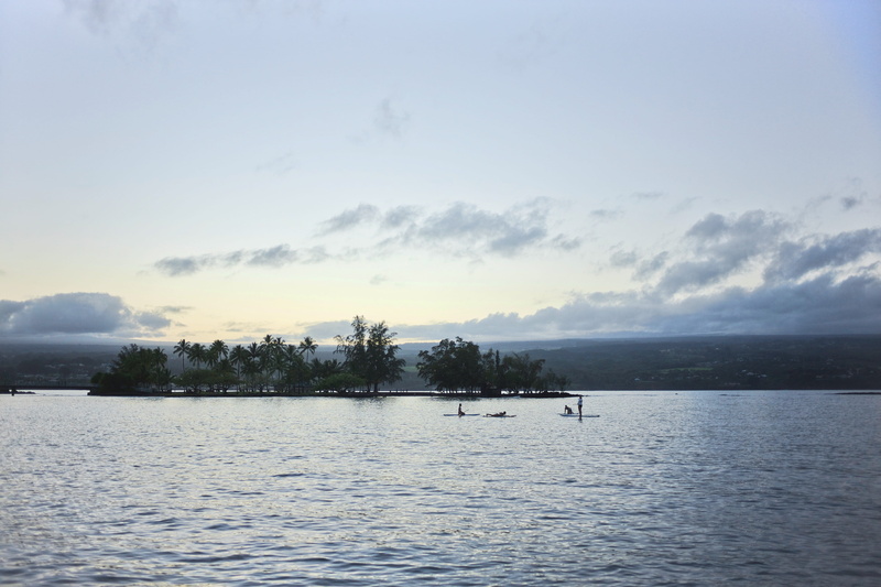 nature, tree, hilo, no people, plant, surfing, paddleboarding, united states, palm tree, hilo, tranquility, water, coconut island, 5K, sunset, nautical vessel