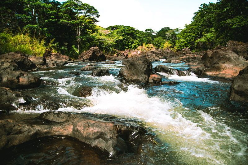 long exposure, rock - object, rocks, beauty in nature, blurred motion, solid, united states, 5K, flowing, rainbow falls, forest, motion, river, flowing water