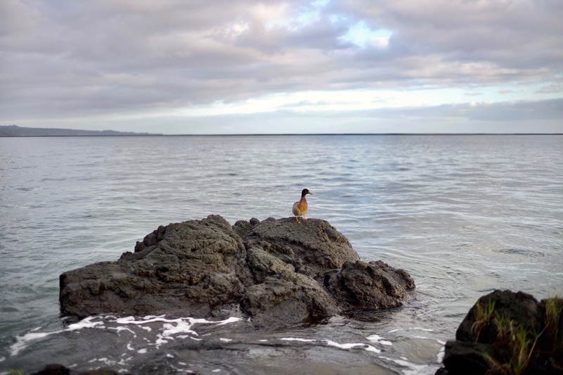beauty in nature, solid, united states, day, hawaii, lifestyles, sea, outdoors, 5K, rock - object, land, hilo, horizon over water, idyllic, scenics - nature