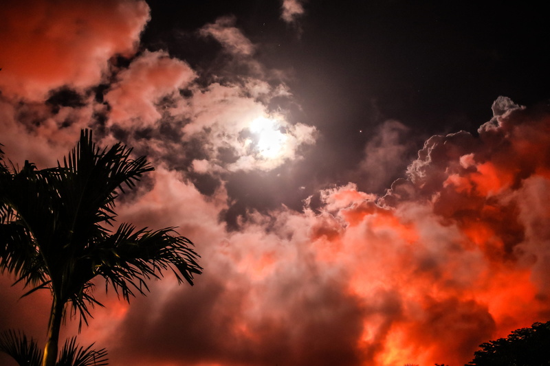power in nature, volcano, no people, cloud - sky, red, hawaii, beauty in nature, tree, moonlight sky, tranquility, sky, palm tree, low angle view, hilo