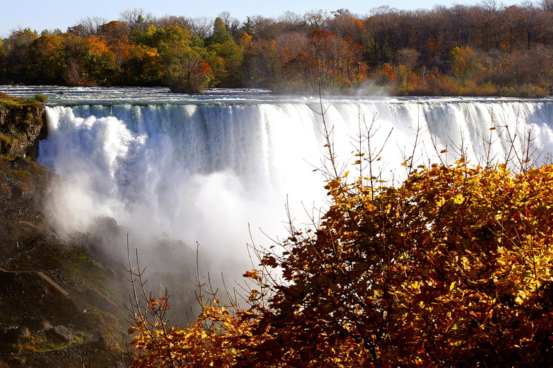 trees, daytime, autumn, nature, autumn collection, forest, scenic, non-urban scene, tranquility, waterfalls, river, flow, landscape, green, water, niagara falls