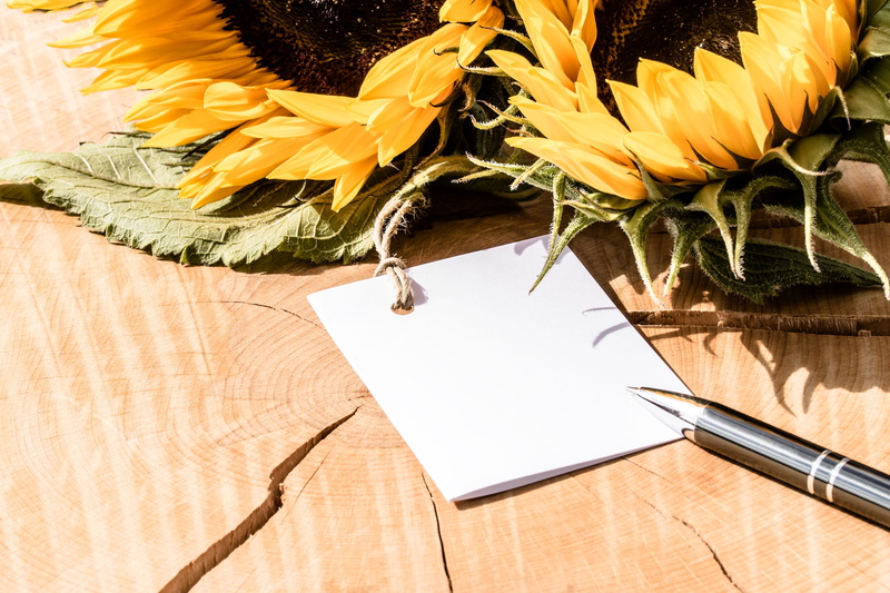 close-up, write text, high angle view, 5K, map, near, white, Sunflower, blank, freshness, on tree trunk lying, still life, day, inflorescence, flowering plant