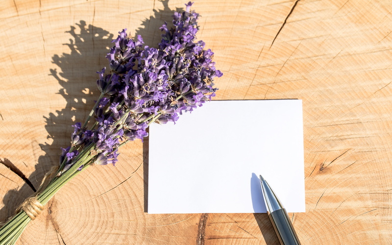 slab, white, blank, fragility, vulnerability, lavender, flower arrangement, label, thank you very much, paper, beauty in nature, leave, high angle view