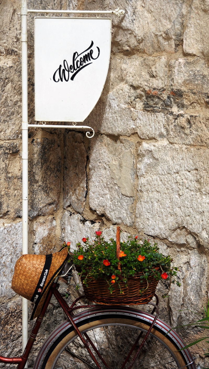 architecture, built structure, non-western script, text, no people, hat, day, communication, croatia, flower pot, flowers, sign, western script, outdoors