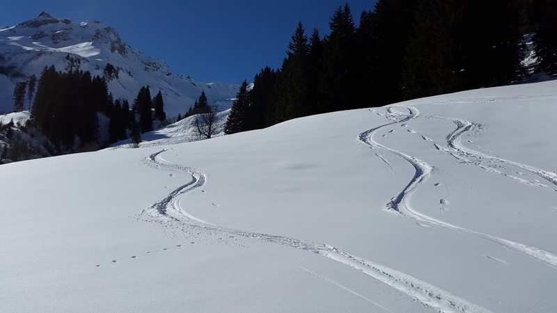 scenics - nature, landscape, ski, tree, ski slope, blue, oberallgäu, outdoor, outdoors, schochen, cold temperature, mountain range, alpine, tour, ski resort