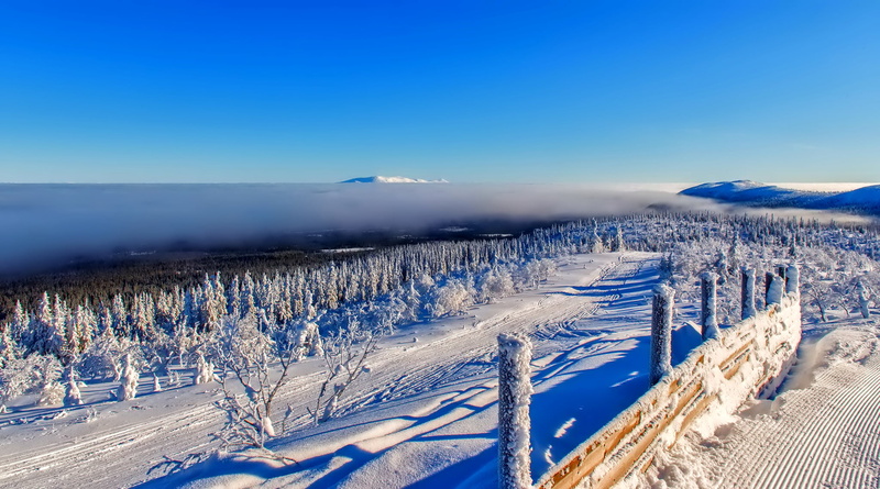 trail, ski Track, land, scenics - nature, landscape, sky, skiing, vacations, ski, no People, plant, winter Sport, nature, tree, tranquil scene, panoramic