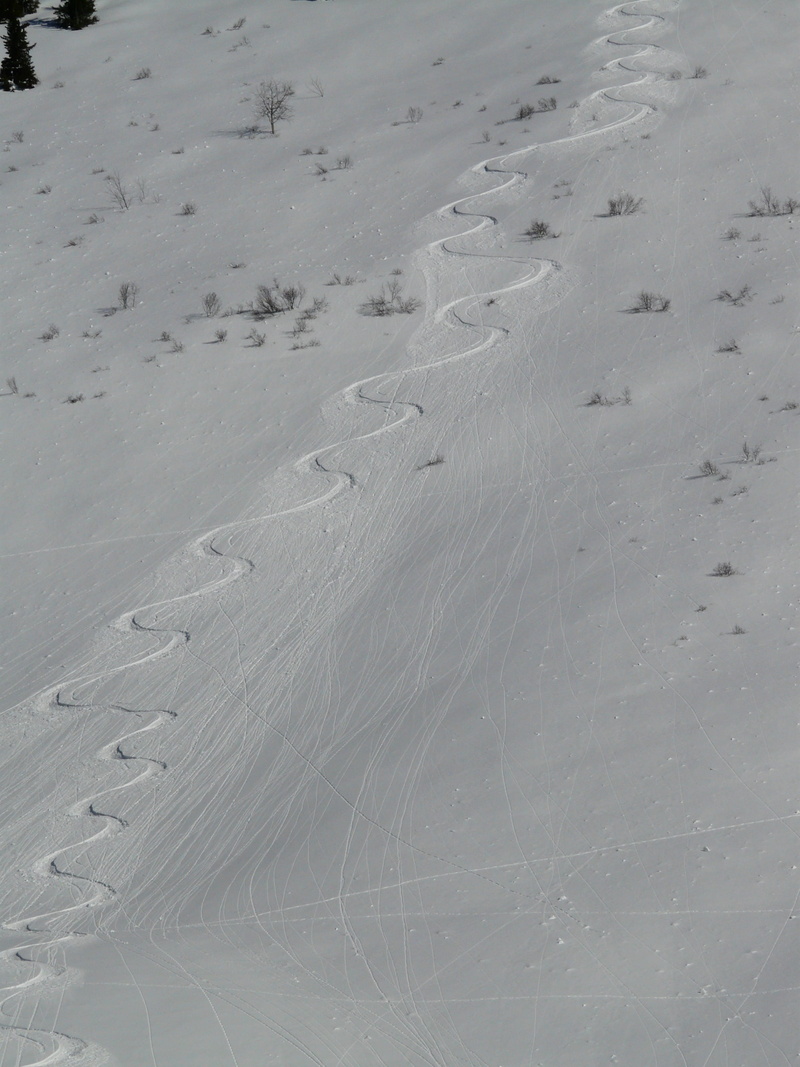track, sand, beauty in nature, land, tranquility, snowy, trace, wag, alone, cold, environment, print, scenics - nature, snowcapped mountain, individually