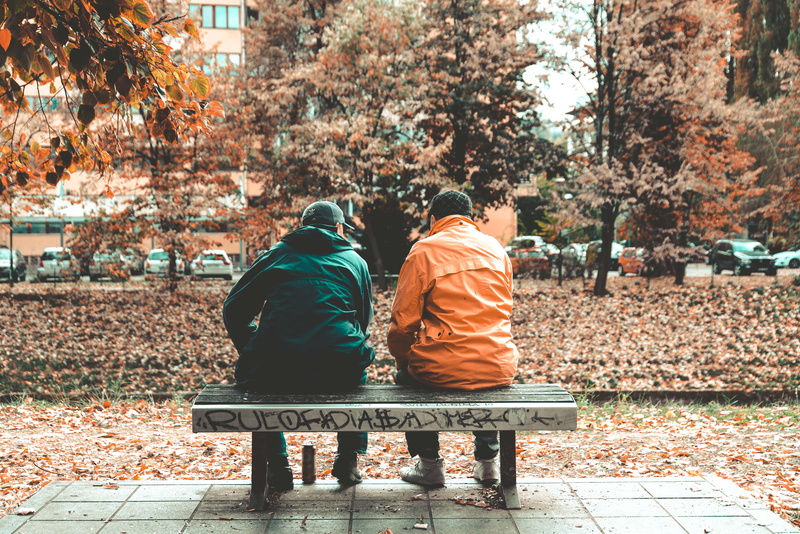 hood - clothing, wear, two, sit, autumn, bench, back view, change, outdoors, men, leaf, friends, adult, daylight, nature, lifestyles, warm clothing, trees