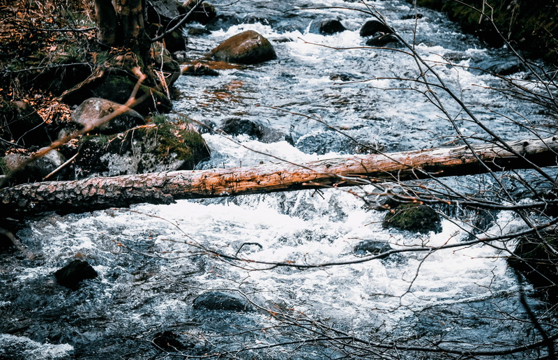 the stones, log, stream - flowing water, forest, current, plant, nature, dangerous, rock, tranquility, motion, boulders, brook, flowing water, land, m