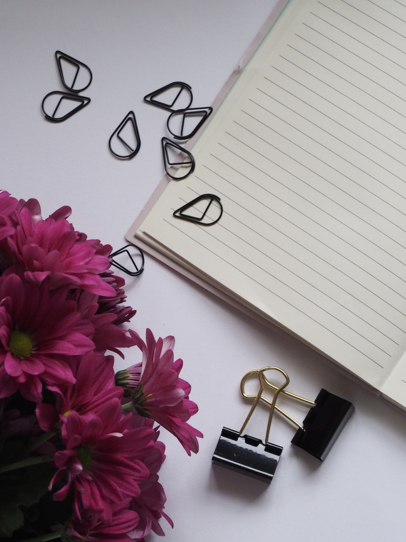 plant, notebook, pen, publication, indoors, 4K, paperclips, desk, creativity, eyeglasses, text, book, pink, communication, no people, daisies, page, black