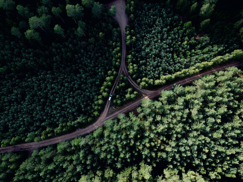 road, green, aerial, day, tranquil scene, landscape, 2K, photo, jungle, tree, scenery, outdoors, scenics - nature, aerial view, transportation