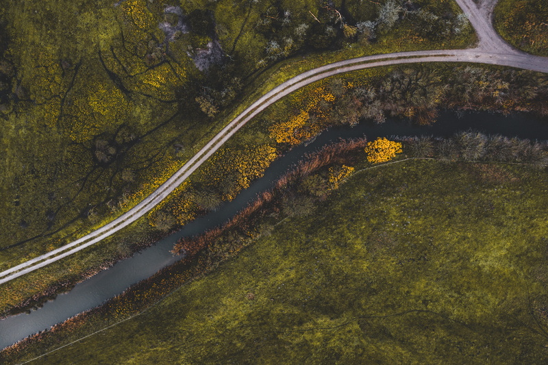 scenics - nature, road, non-urban scene, tree, backgrounds, growth, transportation, high angle view, beauty in nature, day, leafed, forest, scenery, 5K