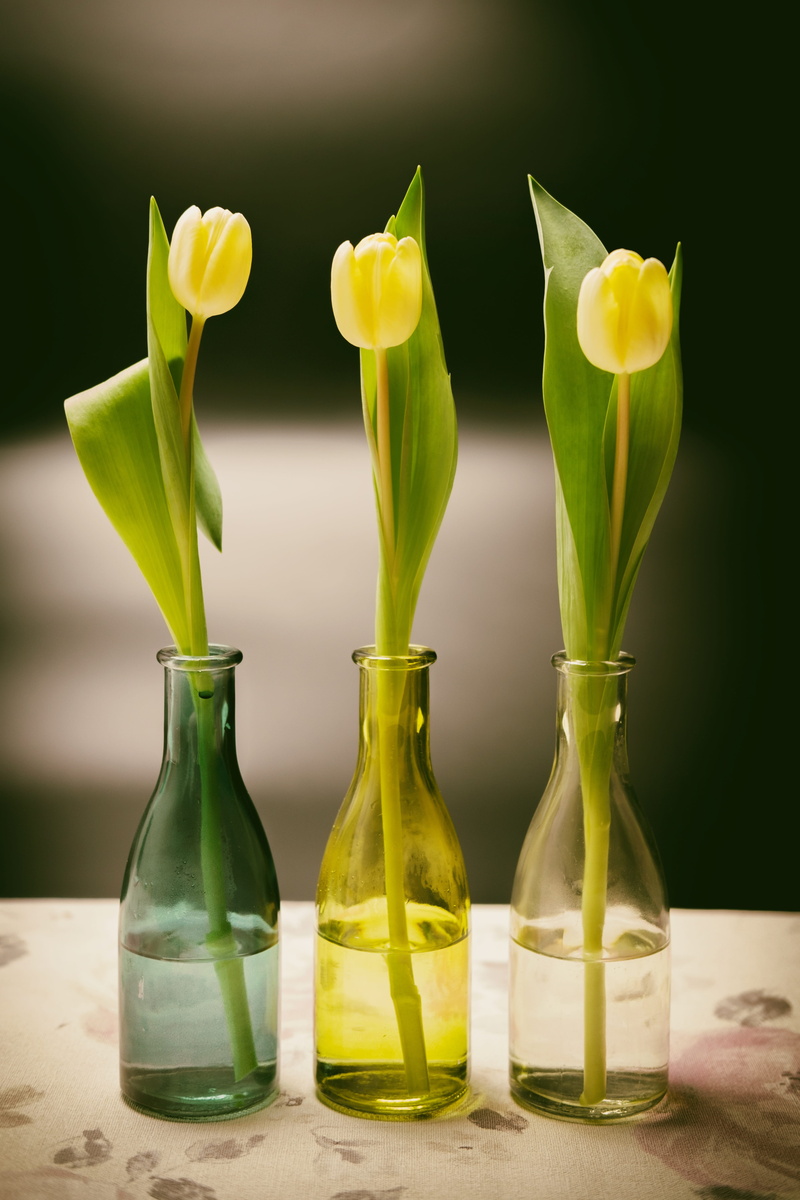 easter, flower arrangement, tumblr, flower head, nature, glass - material, container, beauty in nature, transparent, no people, map, flower, still life
