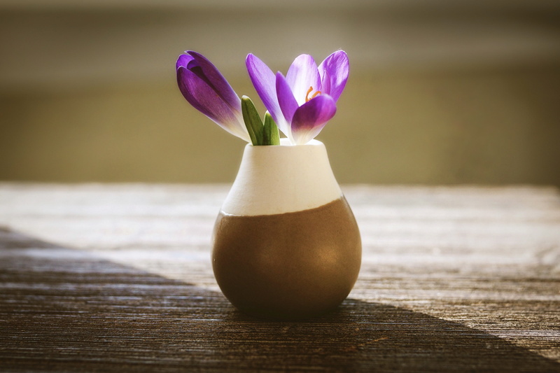 purple, 5K, flower head, beauty in nature, spring, focus on foreground, still life, food, fragility, flowering plant, spring flower, freshness, crocus