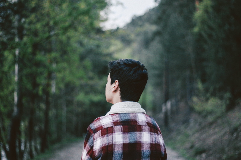 nature, portrait, pine woodland, person, plant, one person, leisure activity, standing, day, tree, looking, forest, lifestyles, pathway, rear view, back