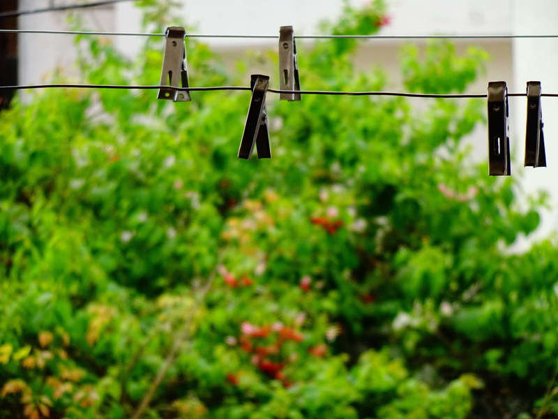 clothesline, no people, group of objects, hanging, selective focus, greenary, green color, in a row, gallary, outdoors, natural, clips, focus on foreground