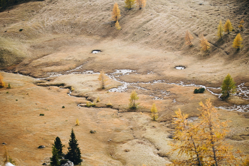 tranquil scene, ground, hd, larch, tranquility, geology, day, rock - object, nature, tree, climate, rock, arid climate, wilderness, scenics - nature