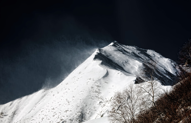 bird, tranquil scene, landscape, tree, winter, beauty in nature, ice, snowcapped mountain, scenics - nature, switzerland, white color, plant, frozen, mountain range