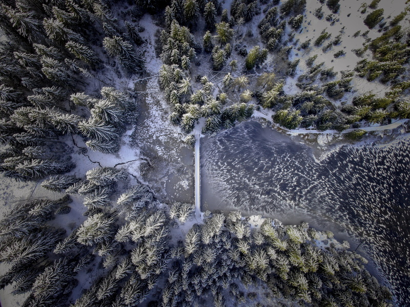 fir, cold temperature, environment, tumblr backgrounds, beauty in nature, growth, no people, flowing water, day, scenery, aerial view, tranquility, trees