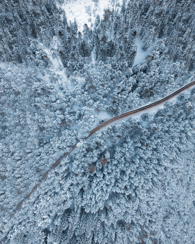 photo, close-up, imst, austria, trees, e532, view, mountain, surrounded, outdoors, scenery, backgrounds, bird, day, ice, hd backgrounds, pine, eye, s, kitchen utensil