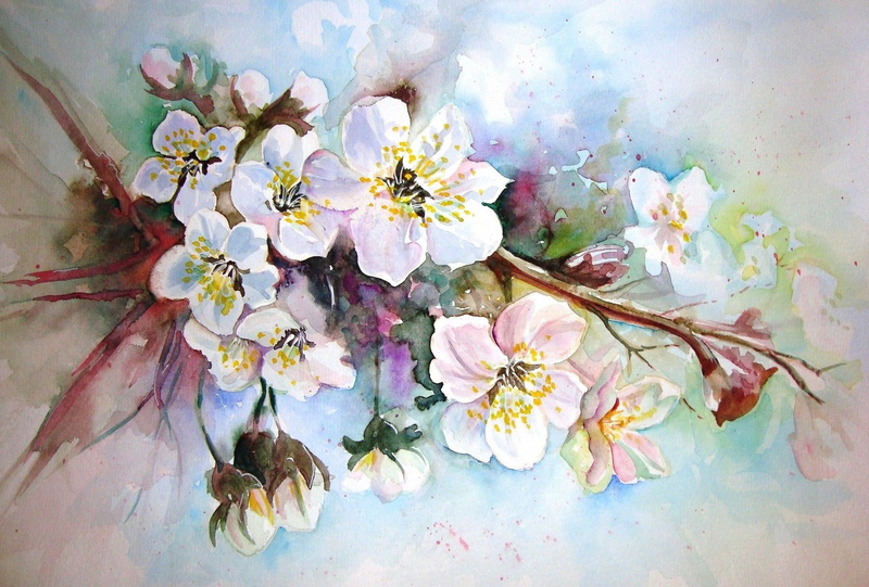 picture, figure, spring flowers, watercolor, unknown author, Apple blossoms, painting, 1080P